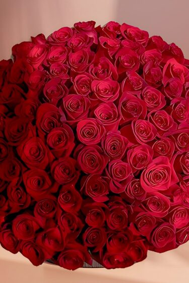 Dubai Flowers Shop | Endless Roses | Online Flowers Shop